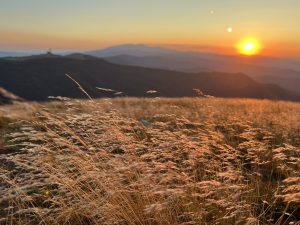 Спокойно темпо на пътуване, стимулиращо диапазона на потребителското търсене