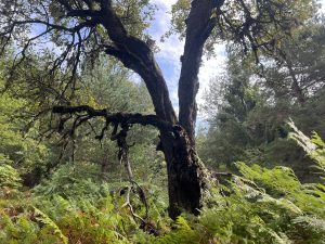 Говорител на отбраната: Филипинският „фарс“ няма да разклати решимостта на Китай за остров Хуанян