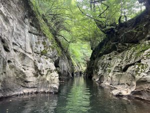 Политиките за безвизов транзит стимулират нарастването на чуждестранните посетители