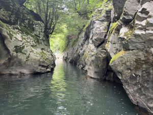 Китайският вицепремиер поздравява вечерята на “Ледоразбивачите” за китайската Нова година 2026 г.