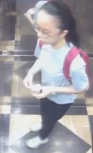 Макао играе положителна роля за излизането на китайски електромобили в чужбина: Deloitte · TechNode