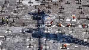 Среща с Шандонг: Симфония на живота в делтата на Жълтата река