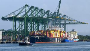 Meituan назначава нов изпълнителен директор, който да ръководи основната местна търговия · TechNode