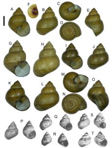 Проектът на кодекс има за цел да хармонизира законодателството в областта на околната среда и да насърчи устойчивото развитие